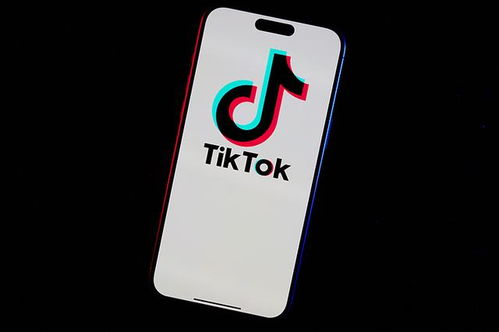 知情人士称拜登将不执行TikTok禁令_美媒：拜登将不执行TikTok禁令