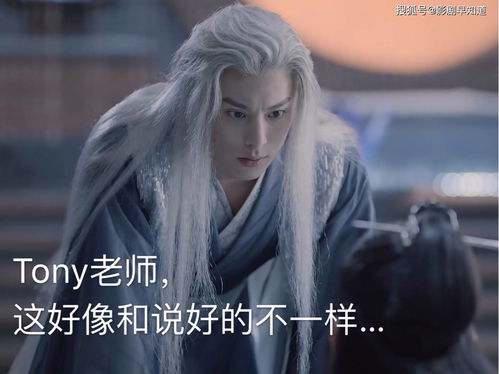 王鹤棣竹林武打戏_昨晚的《星光大赏》像是CP的聚集地，只有他一直独来独往一个人！